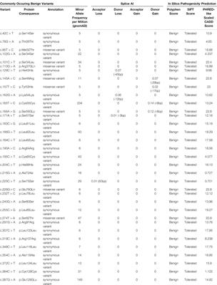 Spectrum of Mutations in NDP Resulting in Ocular Disease; a Systematic Review